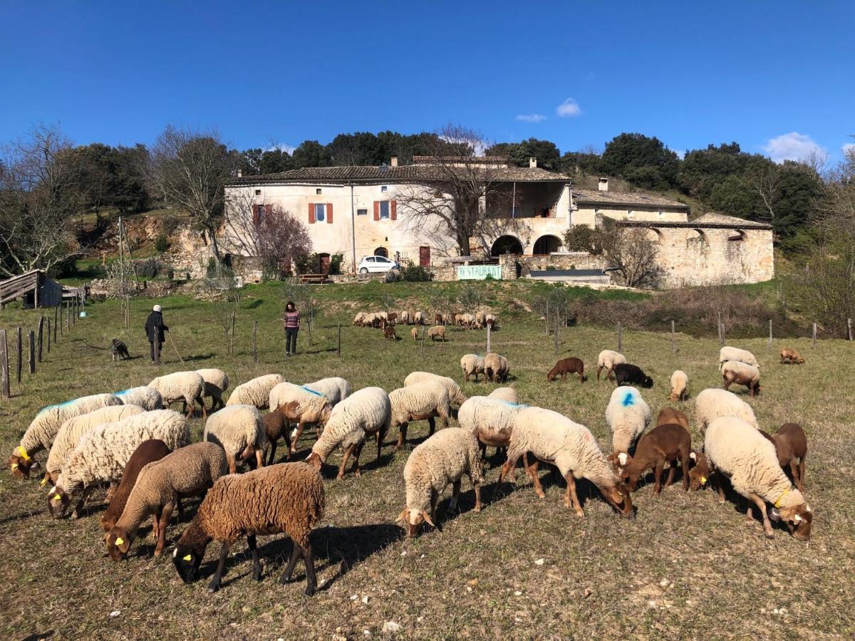 Gites La Ferme Accrochee A La Colline لاغورس المظهر الخارجي الصورة